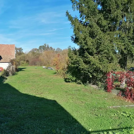 Apartment Luna Vendeghaz *