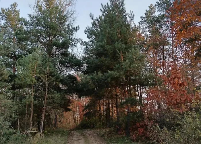 Luna Vendeghaz Apartment Ipolyvece