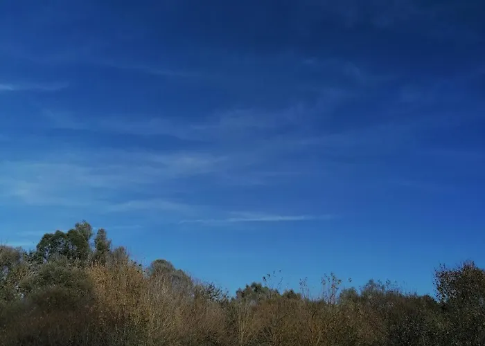 Apartment Luna Vendeghaz