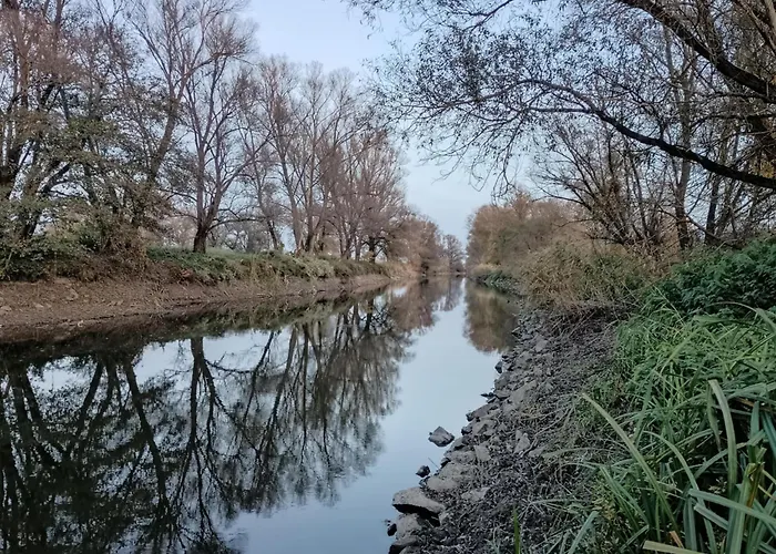 Apartment Luna Vendeghaz *