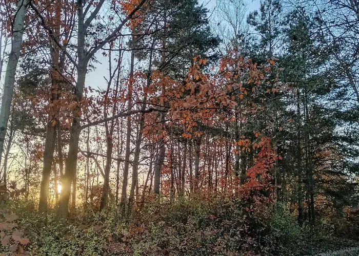 Apartment Luna Vendeghaz *