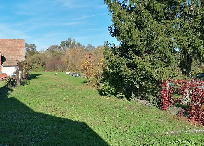 Apartment Luna Vendeghaz *